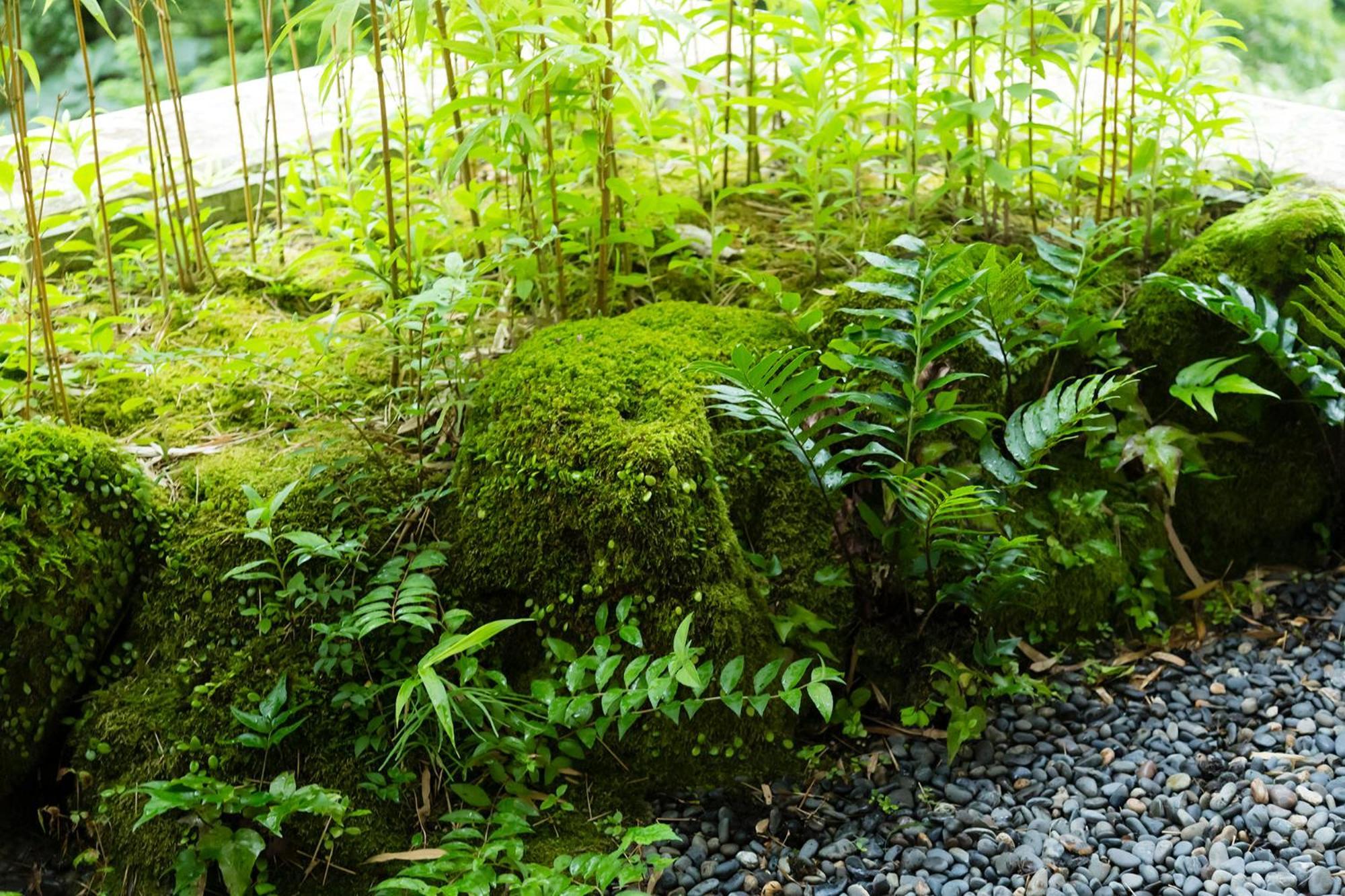 Hakone Yumoto Onsen Hotel Kajikaso Buitenkant foto