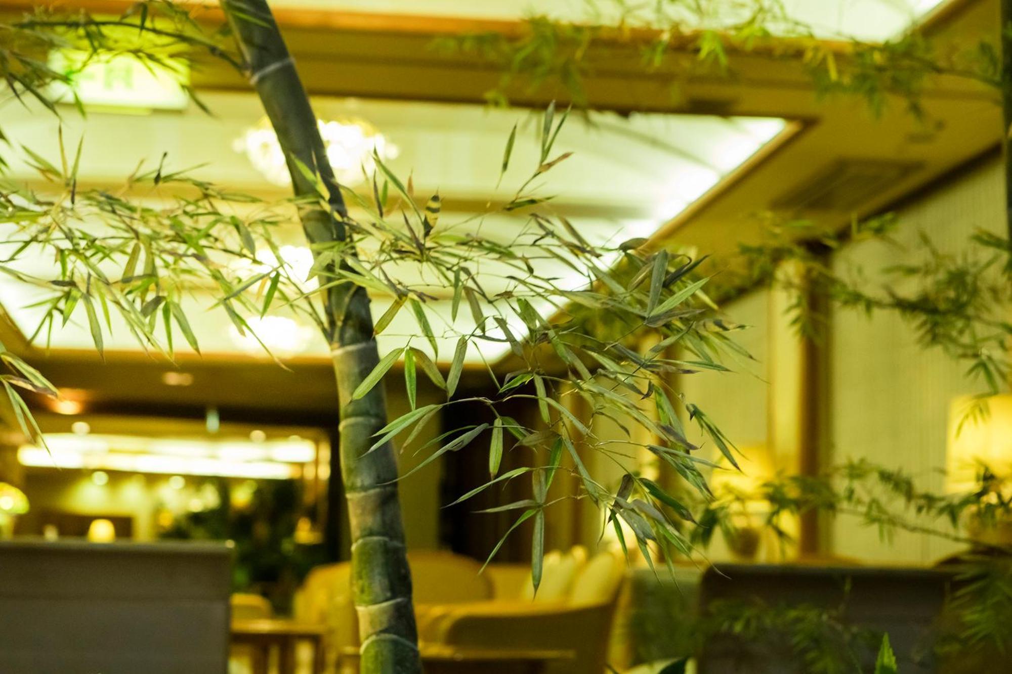 Hakone Yumoto Onsen Hotel Kajikaso Buitenkant foto